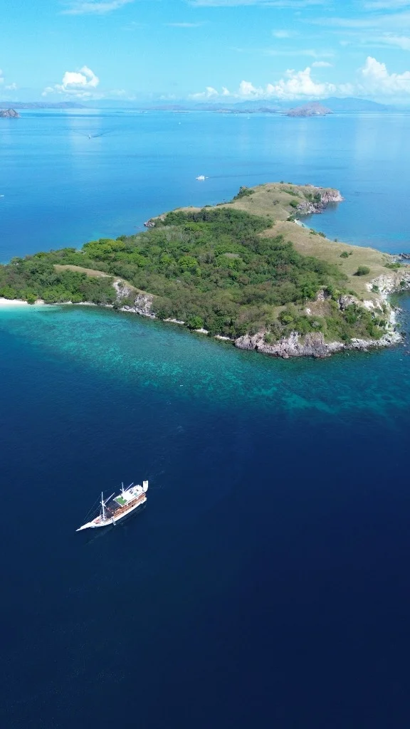 緑豊かな熱帯の島近くを巡航するアルフィシヤナの空撮